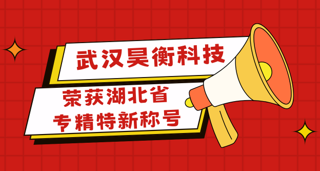 武汉昊衡科技荣获湖北省专精特新称号：技术创新获省级认可